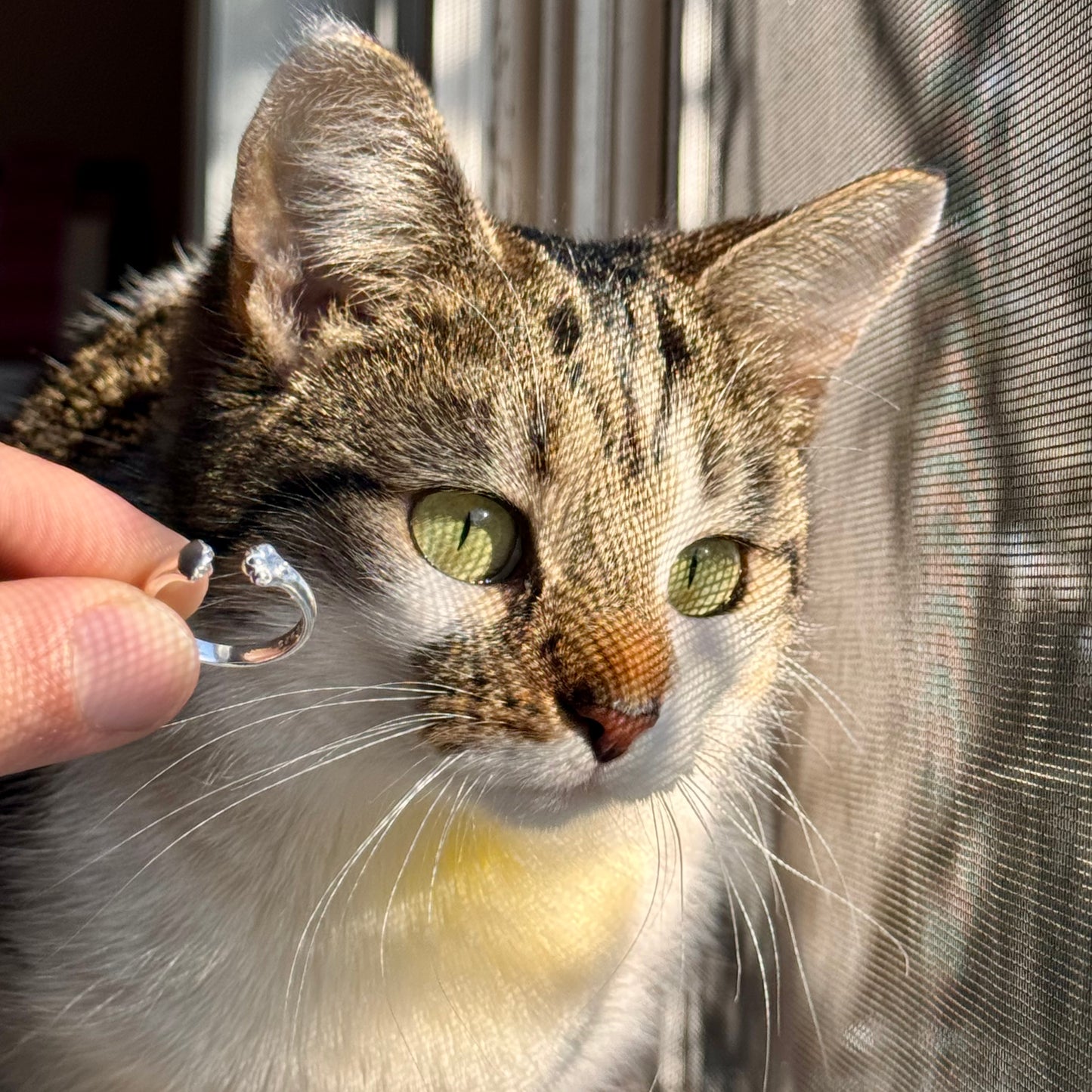 Paw Hug Ring