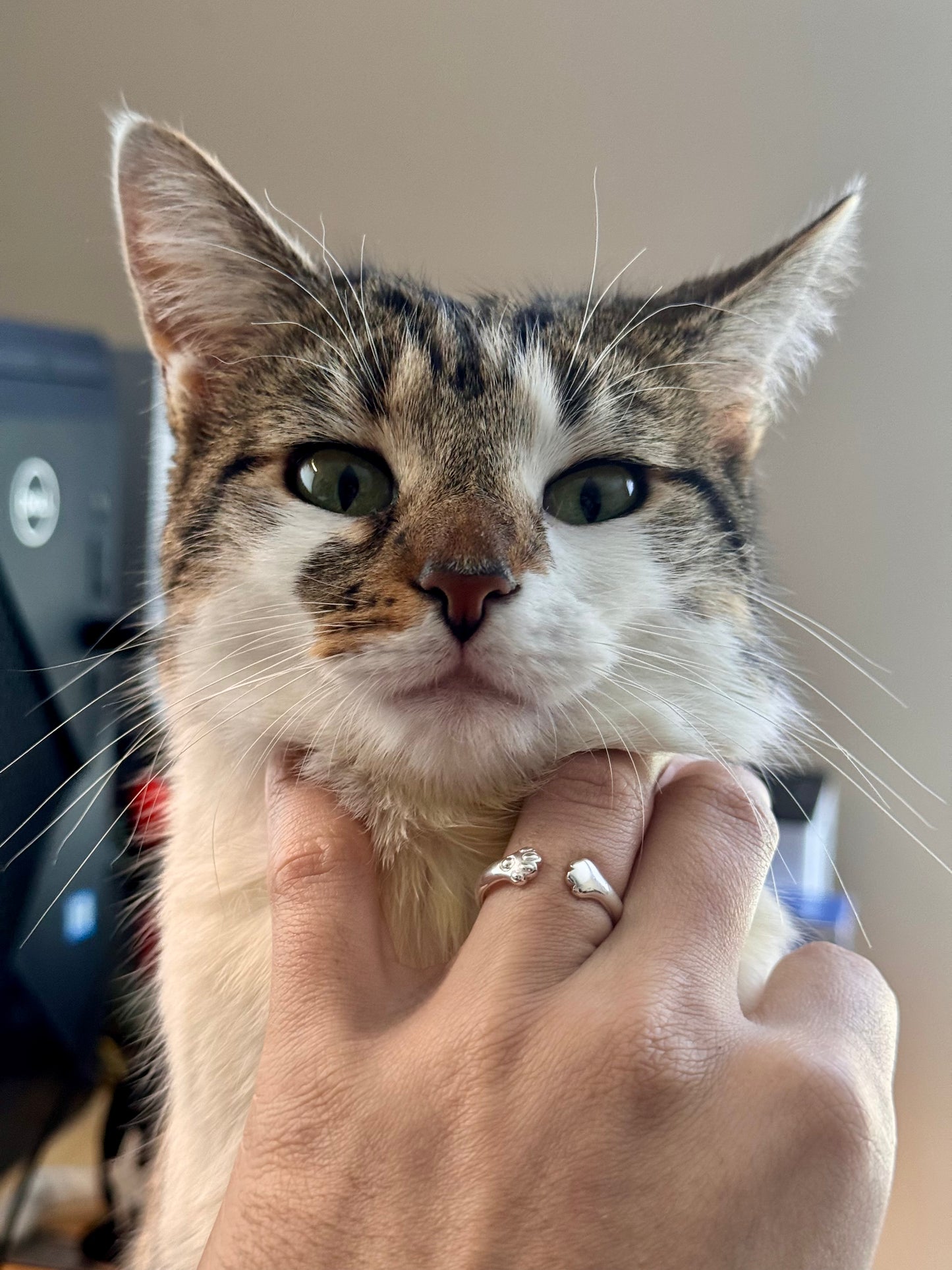 Paw Hug Ring