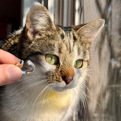 Paw Hug Ring